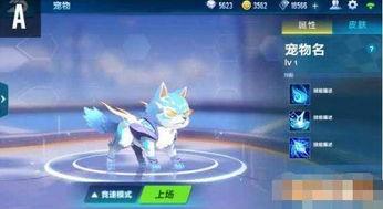 飞车宠物最新爆料图,炫酷造型与神秘技能大揭秘！